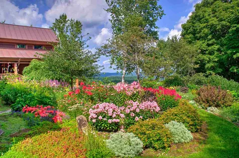 21 Havelok Hill Road Strafford VT 05072