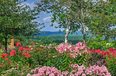 21 Havelok Hill Road Strafford VT 05072