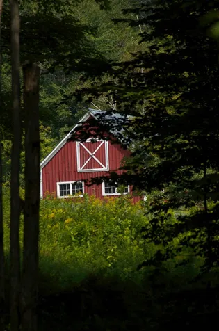 21 Havelok Hill Road Strafford VT 05072