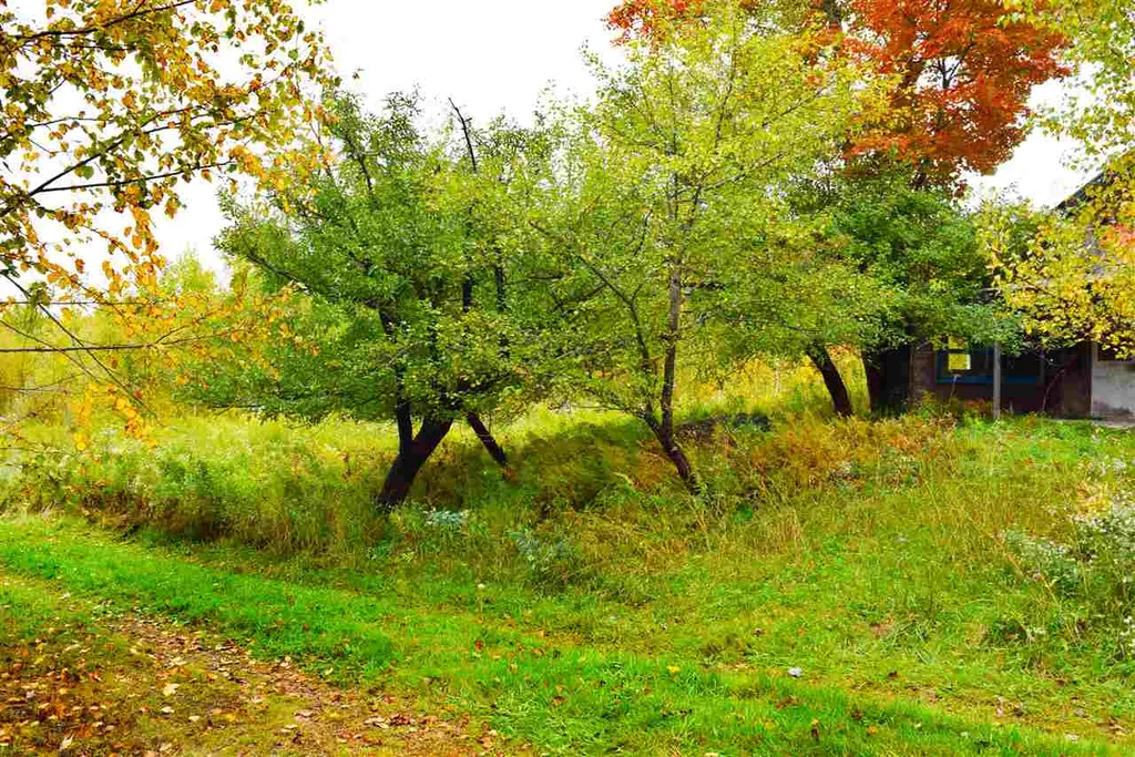 207 West Hill Road Worcester VT 05682