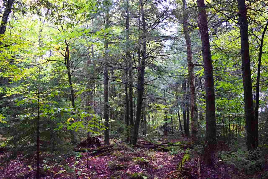 207 West Hill Road Worcester VT 05682