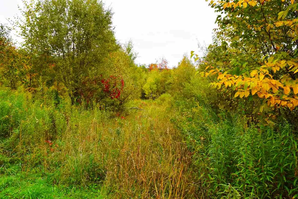 207 West Hill Road Worcester VT 05682