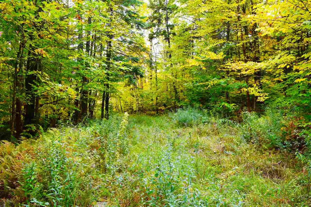 207 West Hill Road Worcester VT 05682