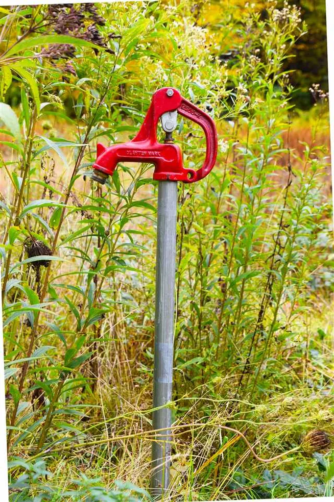 207 West Hill Road Worcester VT 05682