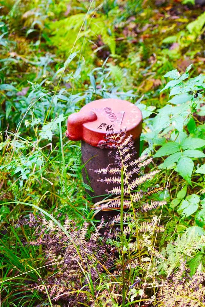 207 West Hill Road Worcester VT 05682