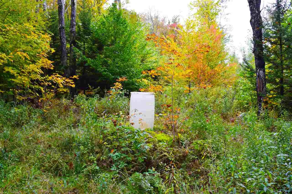 207 West Hill Road Worcester VT 05682