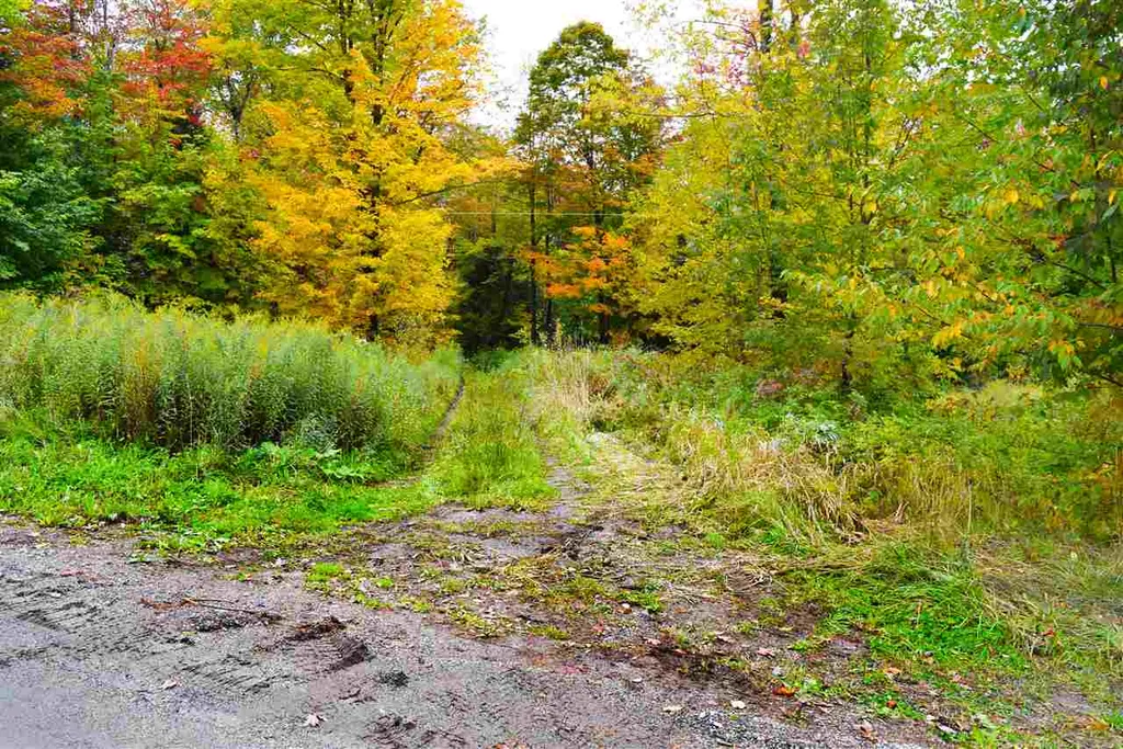 207 West Hill Road Worcester VT 05682