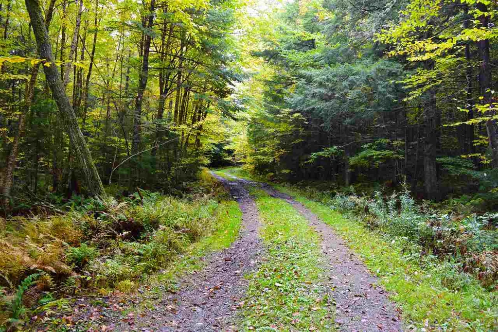 207 West Hill Road Worcester VT 05682