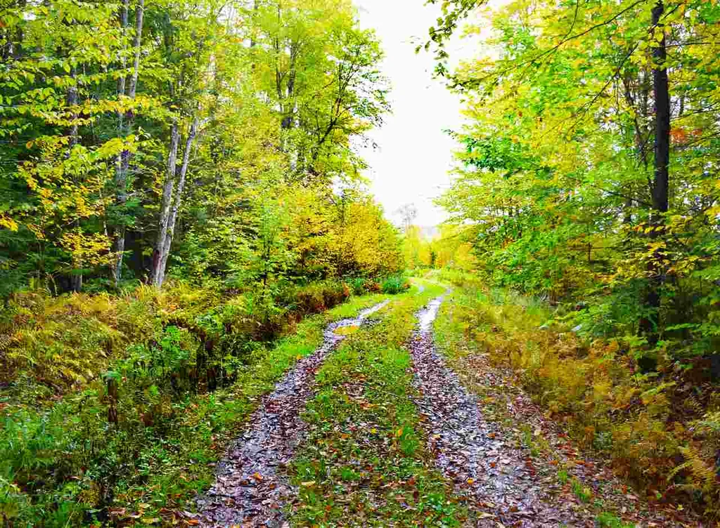 207 West Hill Road Worcester VT 05682