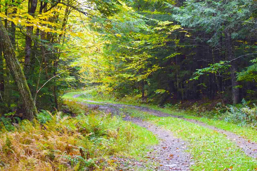 207 West Hill Road Worcester VT 05682