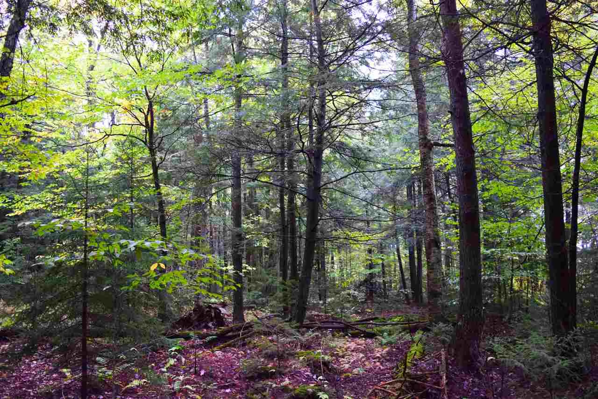 207 West Hill Road Worcester VT 05682