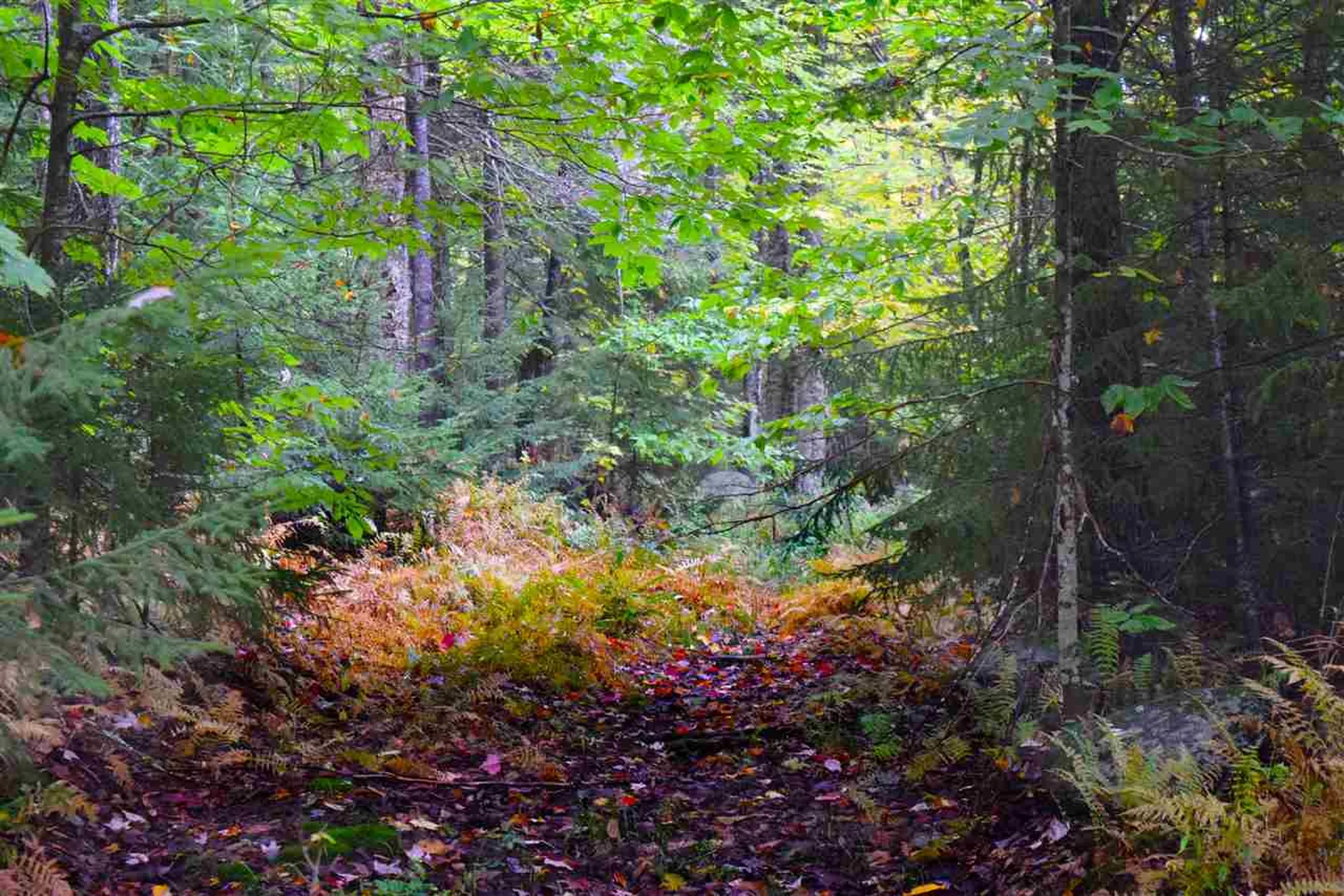 207 West Hill Road Worcester VT 05682