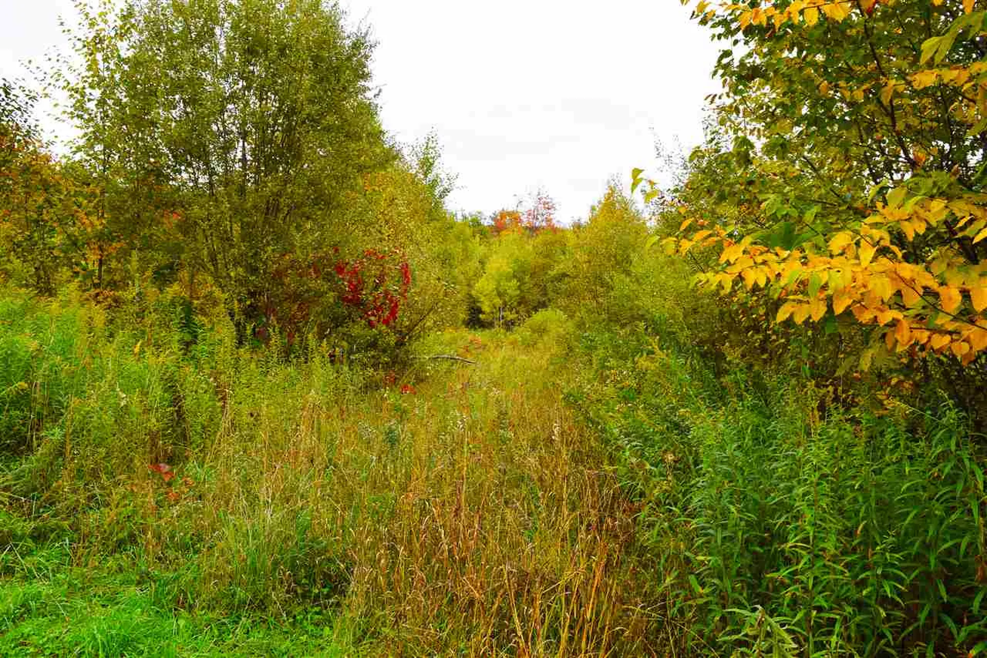 207 West Hill Road Worcester VT 05682