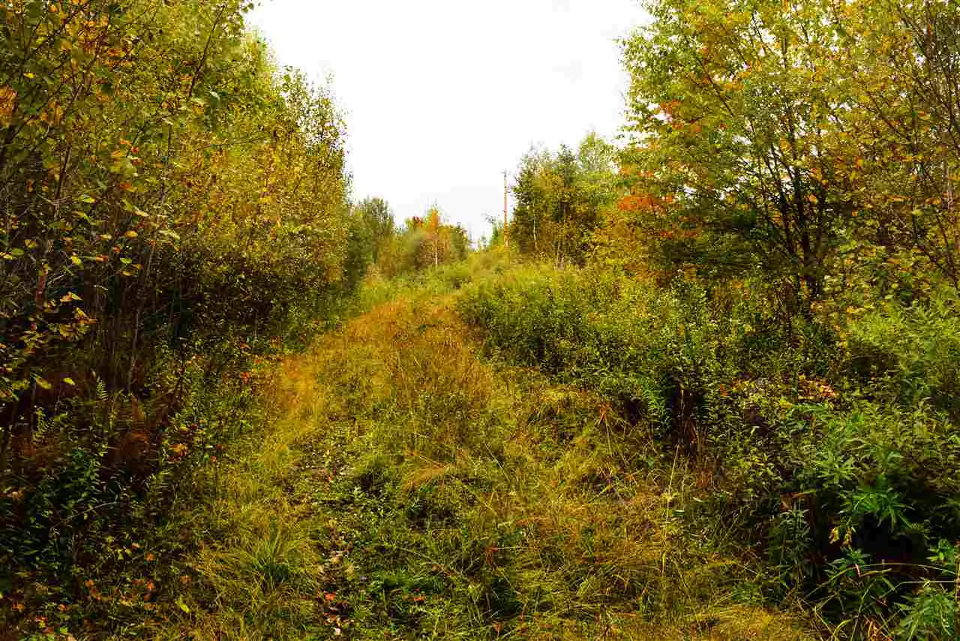 207 West Hill Road Worcester VT 05682