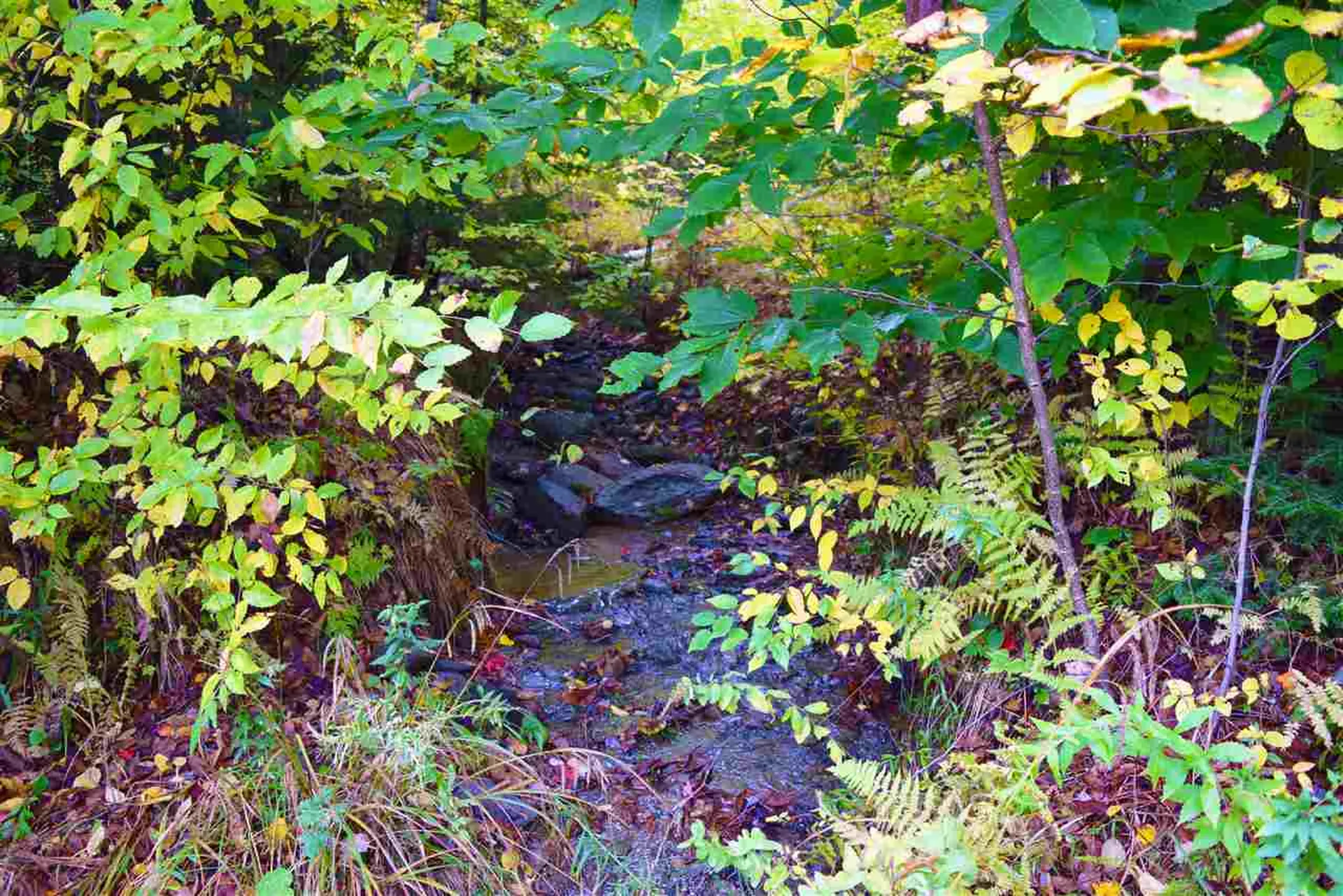 207 West Hill Road Worcester VT 05682