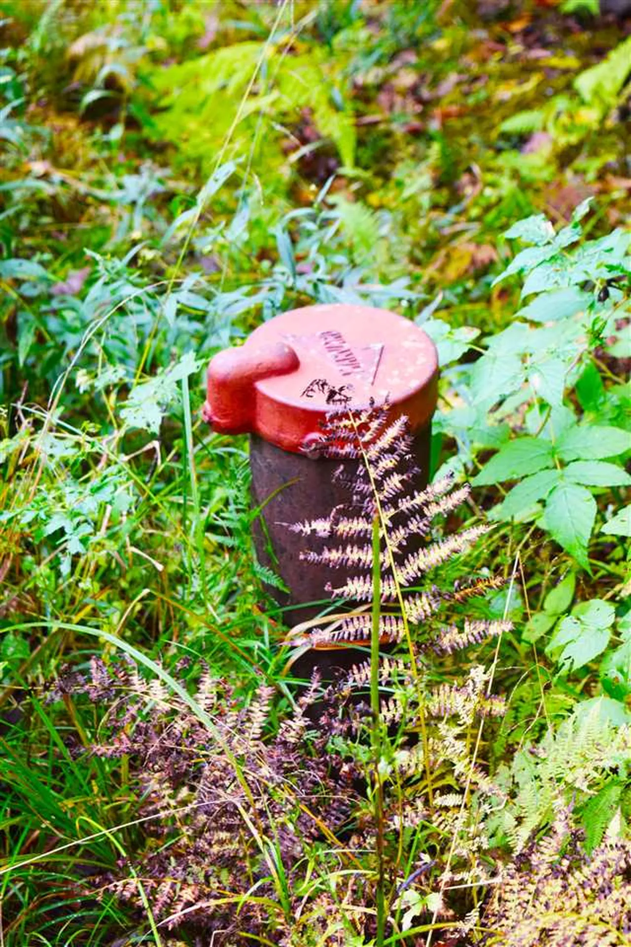 207 West Hill Road Worcester VT 05682