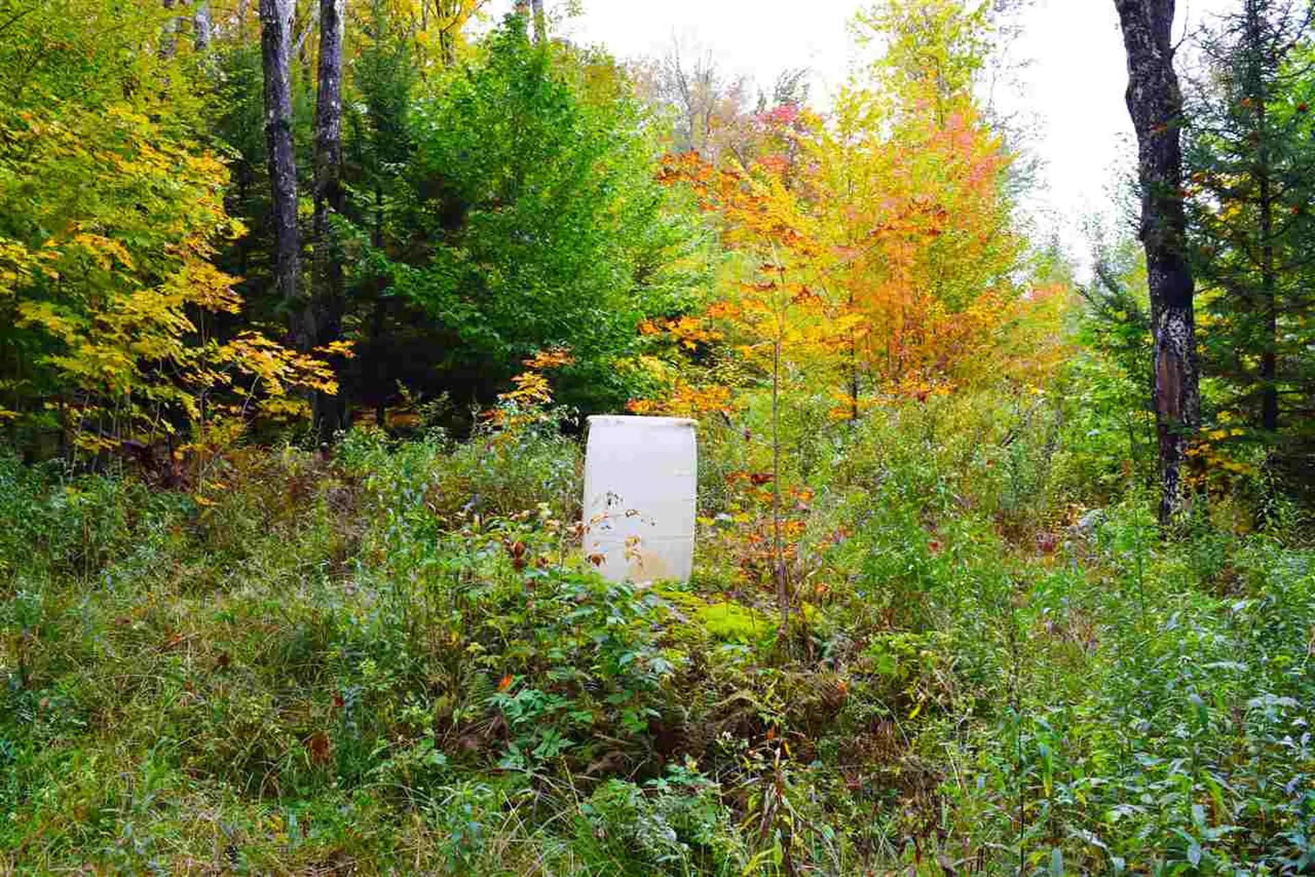 207 West Hill Road Worcester VT 05682