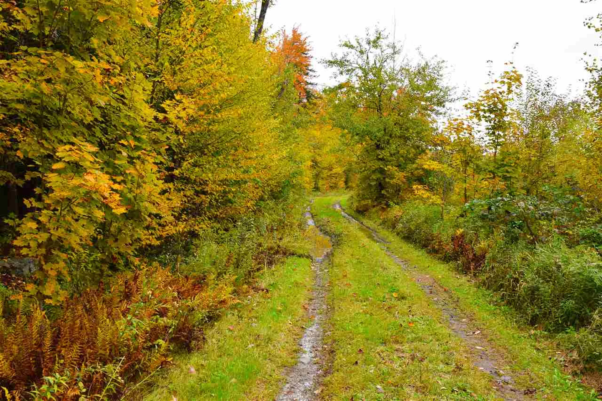 207 West Hill Road Worcester VT 05682