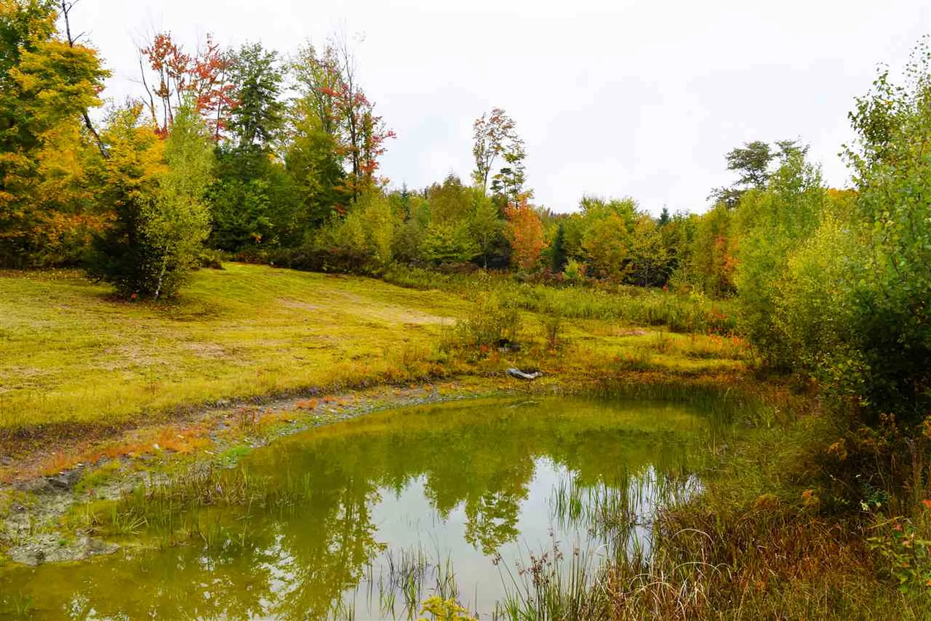 207 West Hill Road Worcester VT 05682