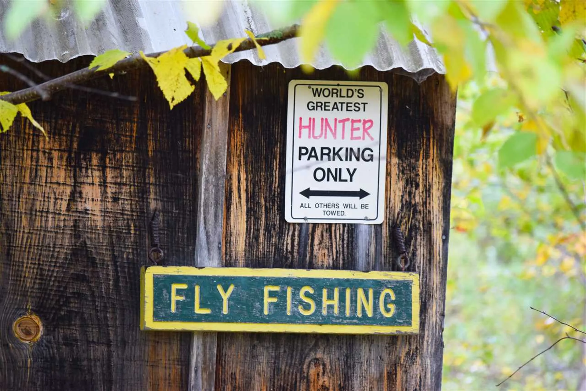 207 West Hill Road Worcester VT 05682