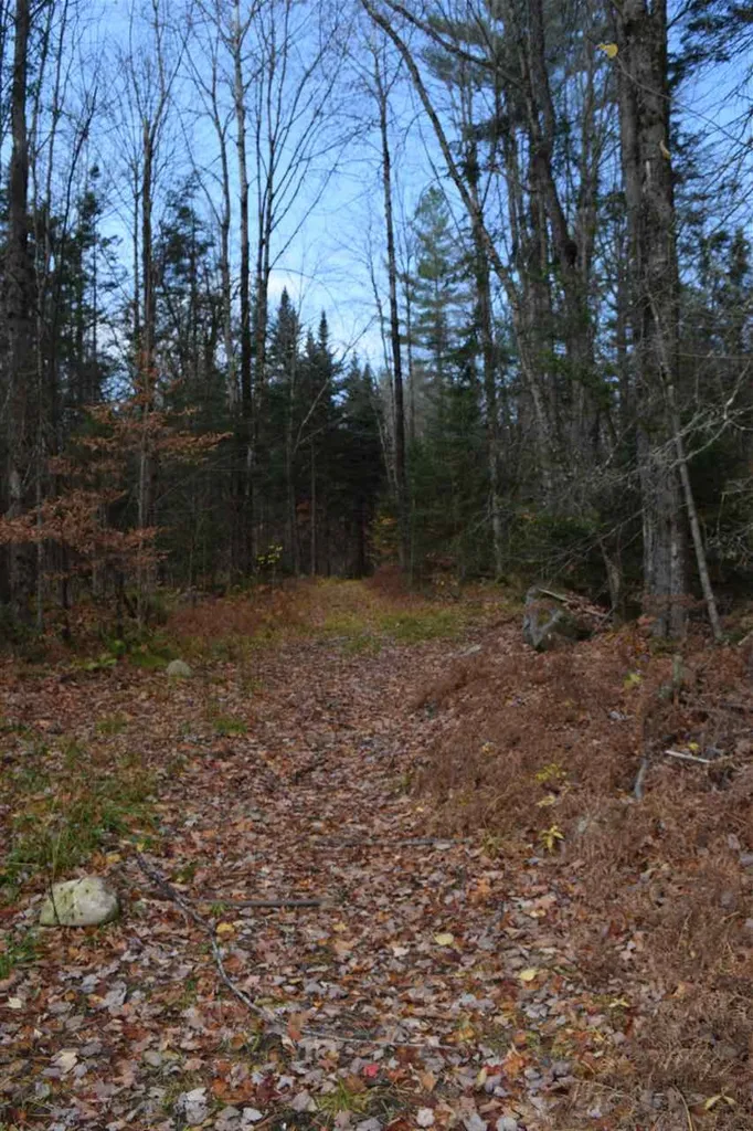 Lot 17.1 & 17.2 Dupont Road Lunenburg VT 05906