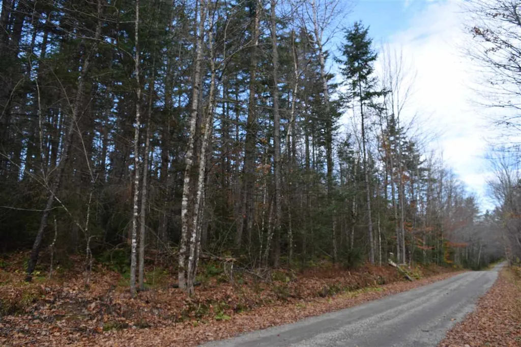 Lot 17.1 & 17.2 Dupont Road Lunenburg VT 05906