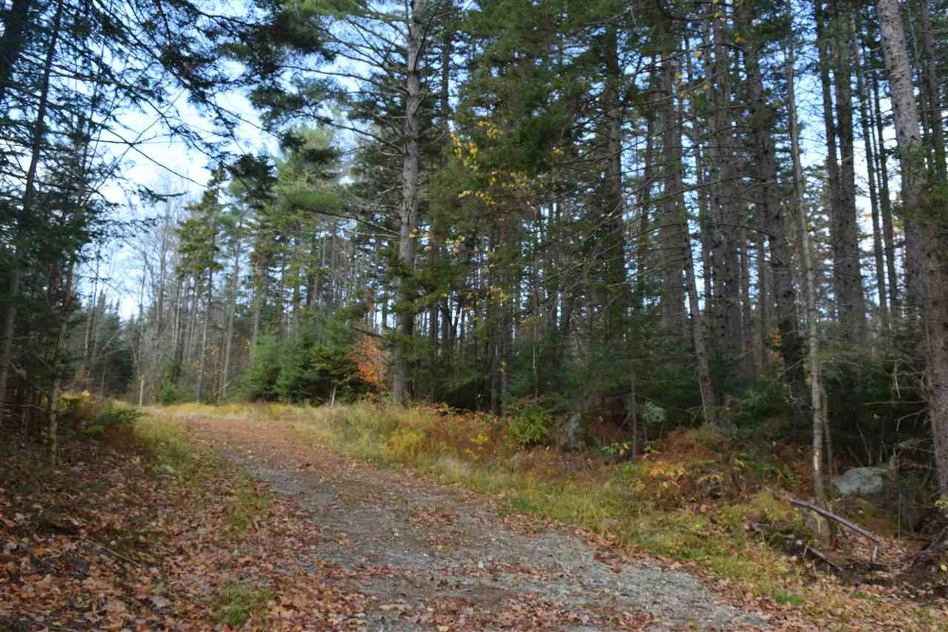 Lot 17.1 & 17.2 Dupont Road Lunenburg VT 05906