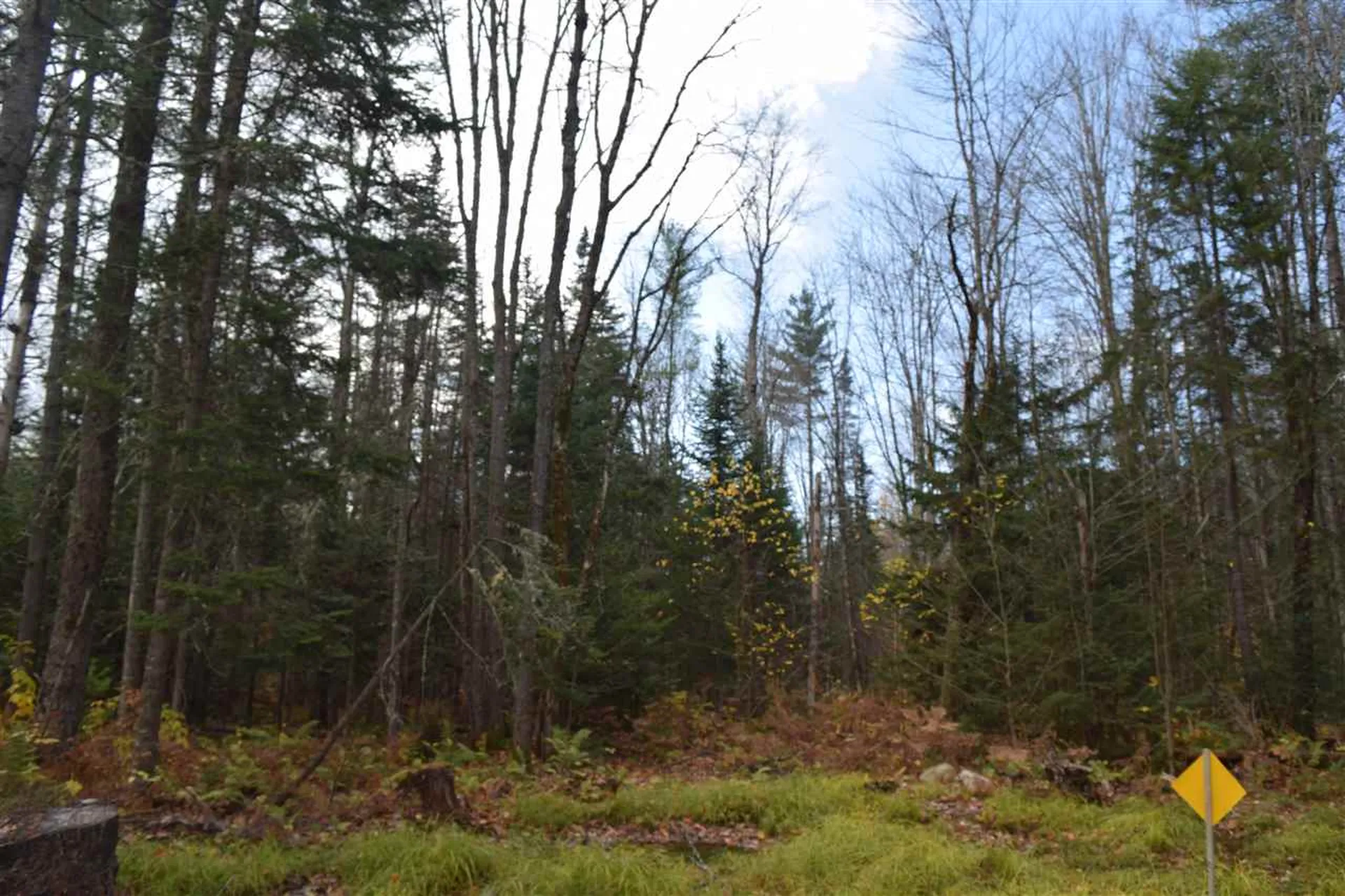 Lot 17.1 & 17.2 Dupont Road Lunenburg VT 05906