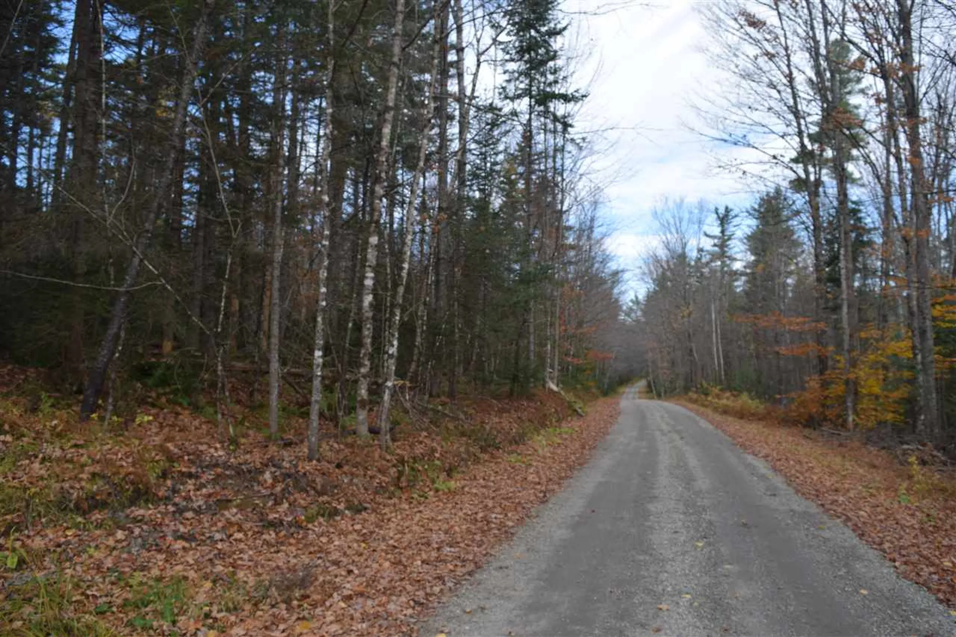 Lot 17.1 & 17.2 Dupont Road Lunenburg VT 05906