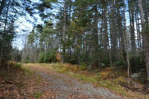 Lot 17.1 & 17.2 Dupont Road Lunenburg VT 05906