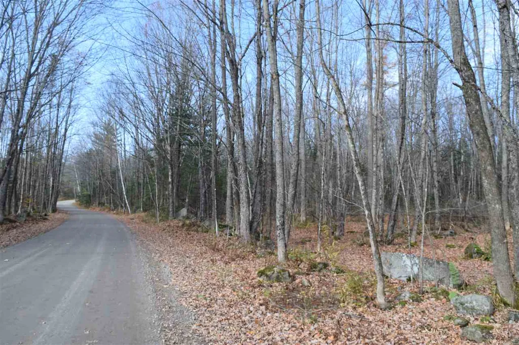 Lot 17.3 Tobyne Road Lunenburg VT 05906