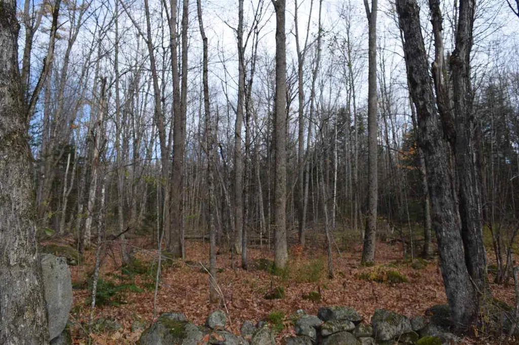 Lot 17.3 Tobyne Road Lunenburg VT 05906