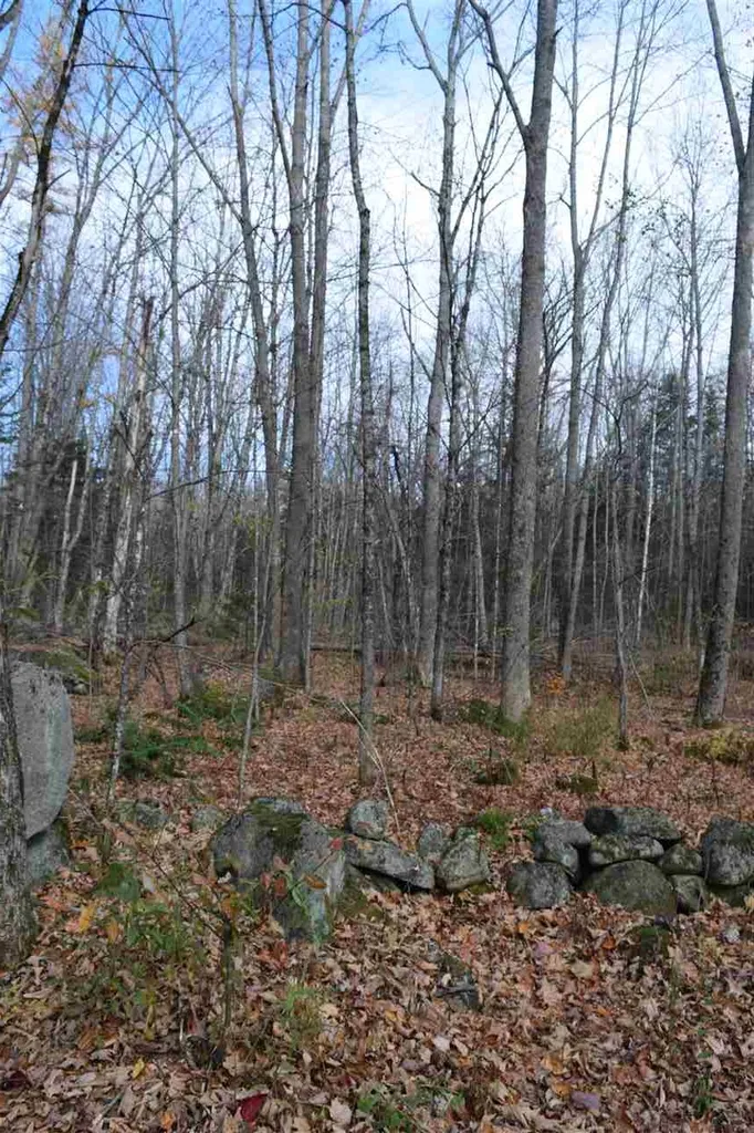 Lot 17.3 Tobyne Road Lunenburg VT 05906