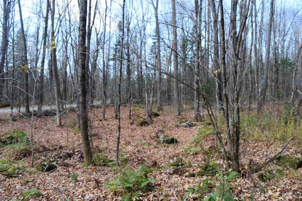 Lot 17.3 Tobyne Road Lunenburg VT 05906