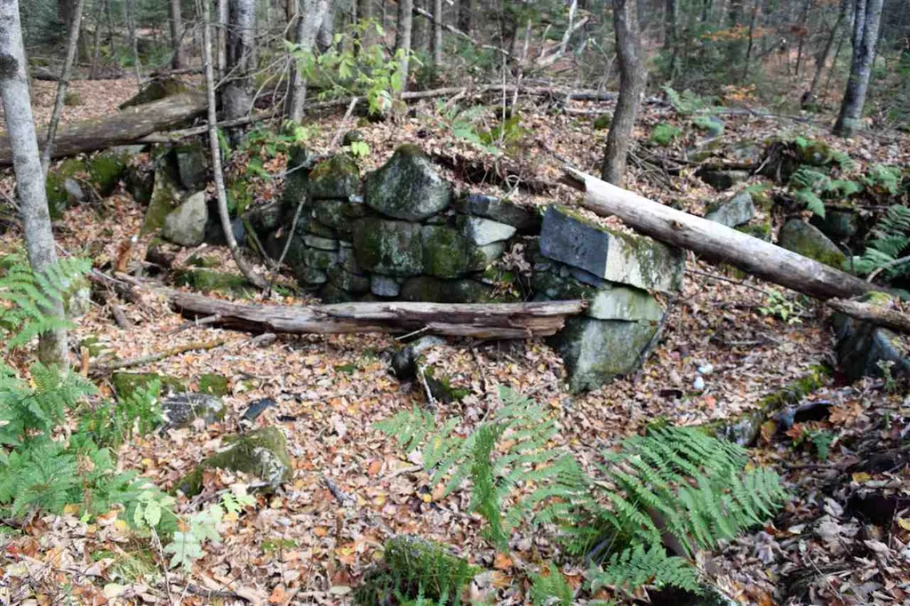 Lot 17.3 Tobyne Road Lunenburg VT 05906
