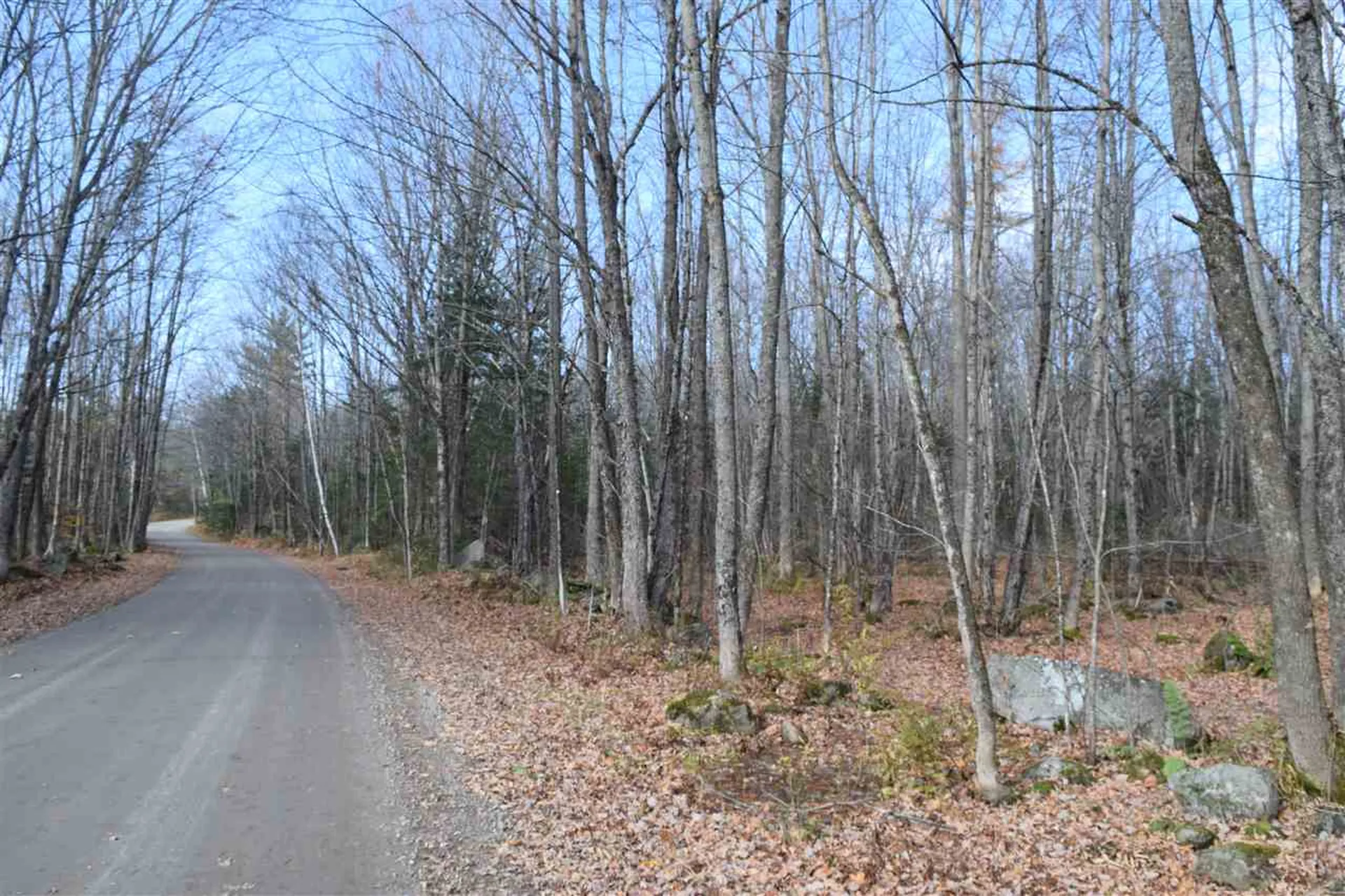 Lot 17.3 Tobyne Road Lunenburg VT 05906