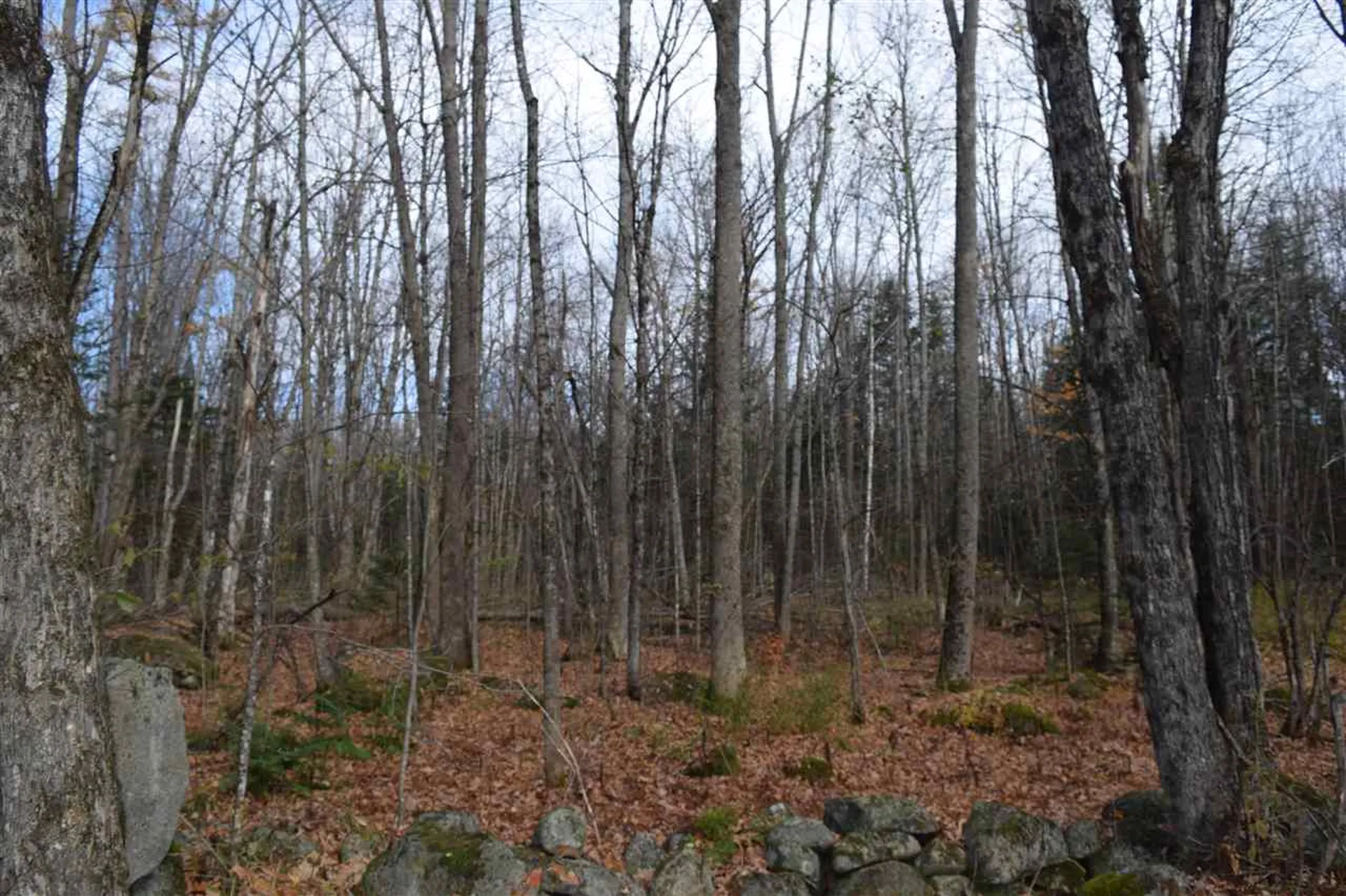 Lot 17.3 Tobyne Road Lunenburg VT 05906
