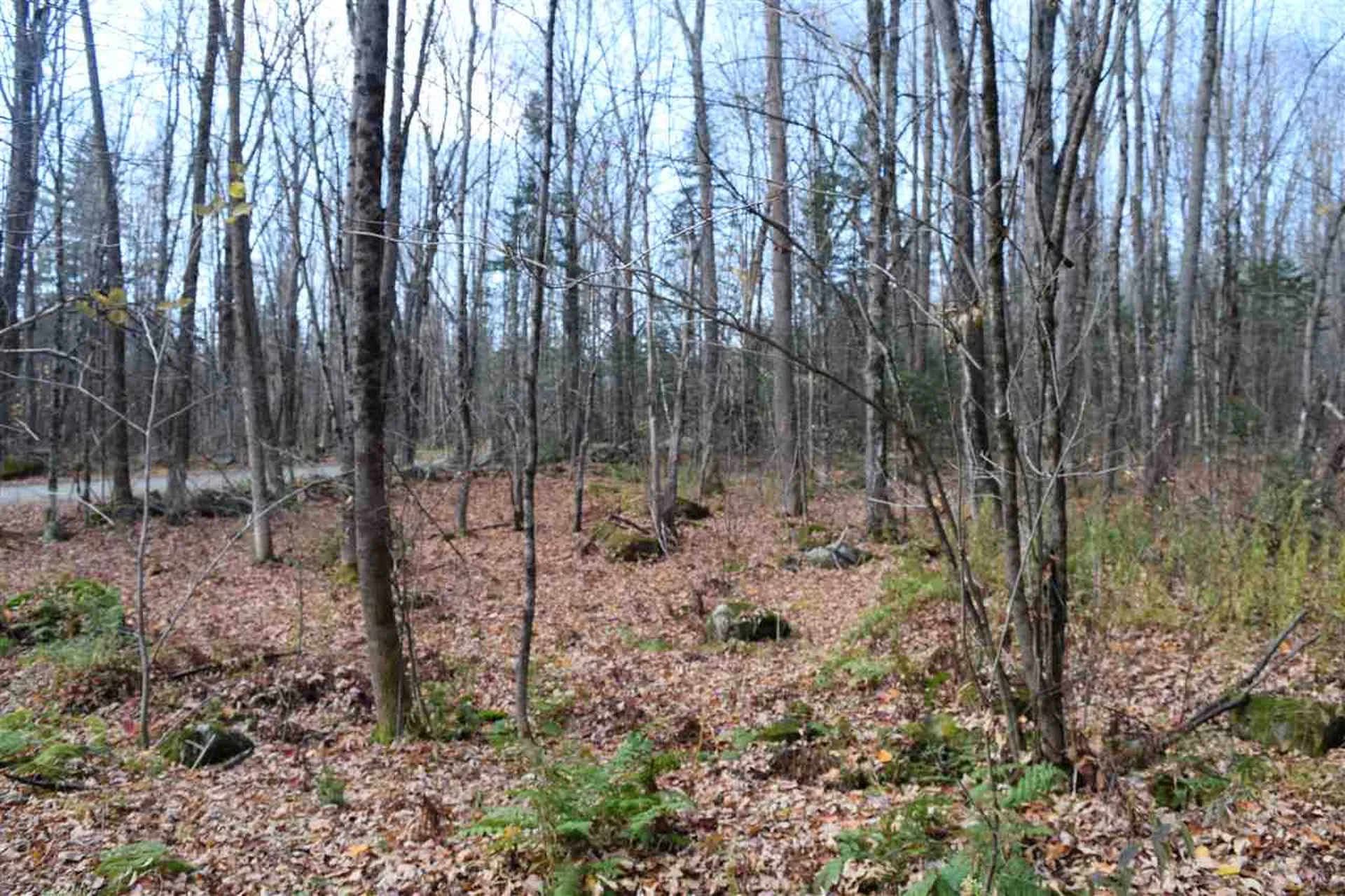 Lot 17.3 Tobyne Road Lunenburg VT 05906