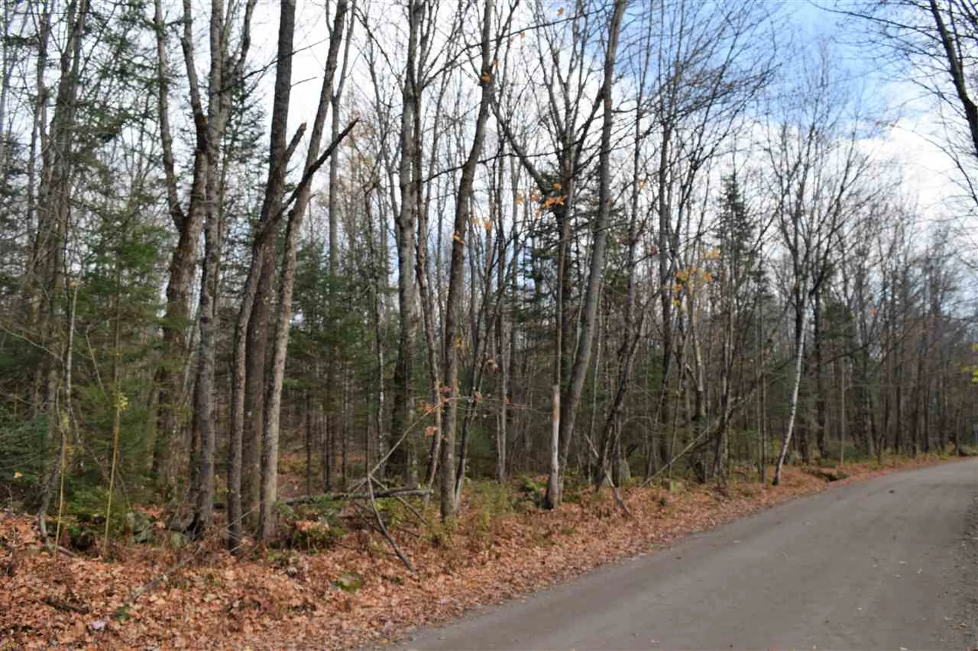 Lot 17.3 Tobyne Road Lunenburg VT 05906