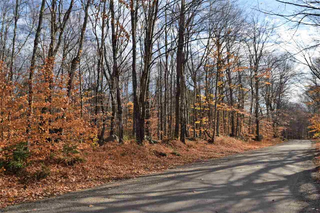 Lot 18 Tobyne Road Lunenburg VT 05906