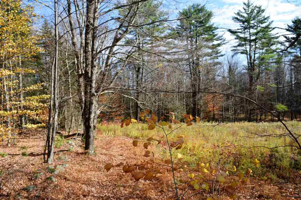 Lot 18 Tobyne Road Lunenburg VT 05906