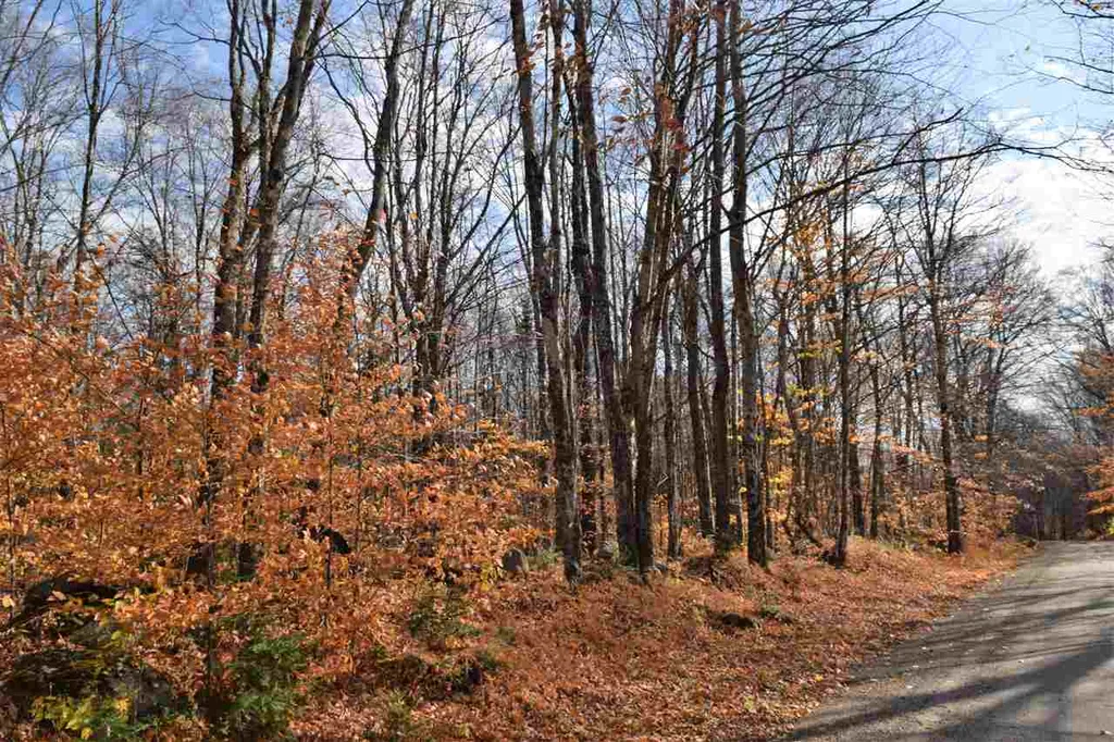 Lot 18 Tobyne Road Lunenburg VT 05906