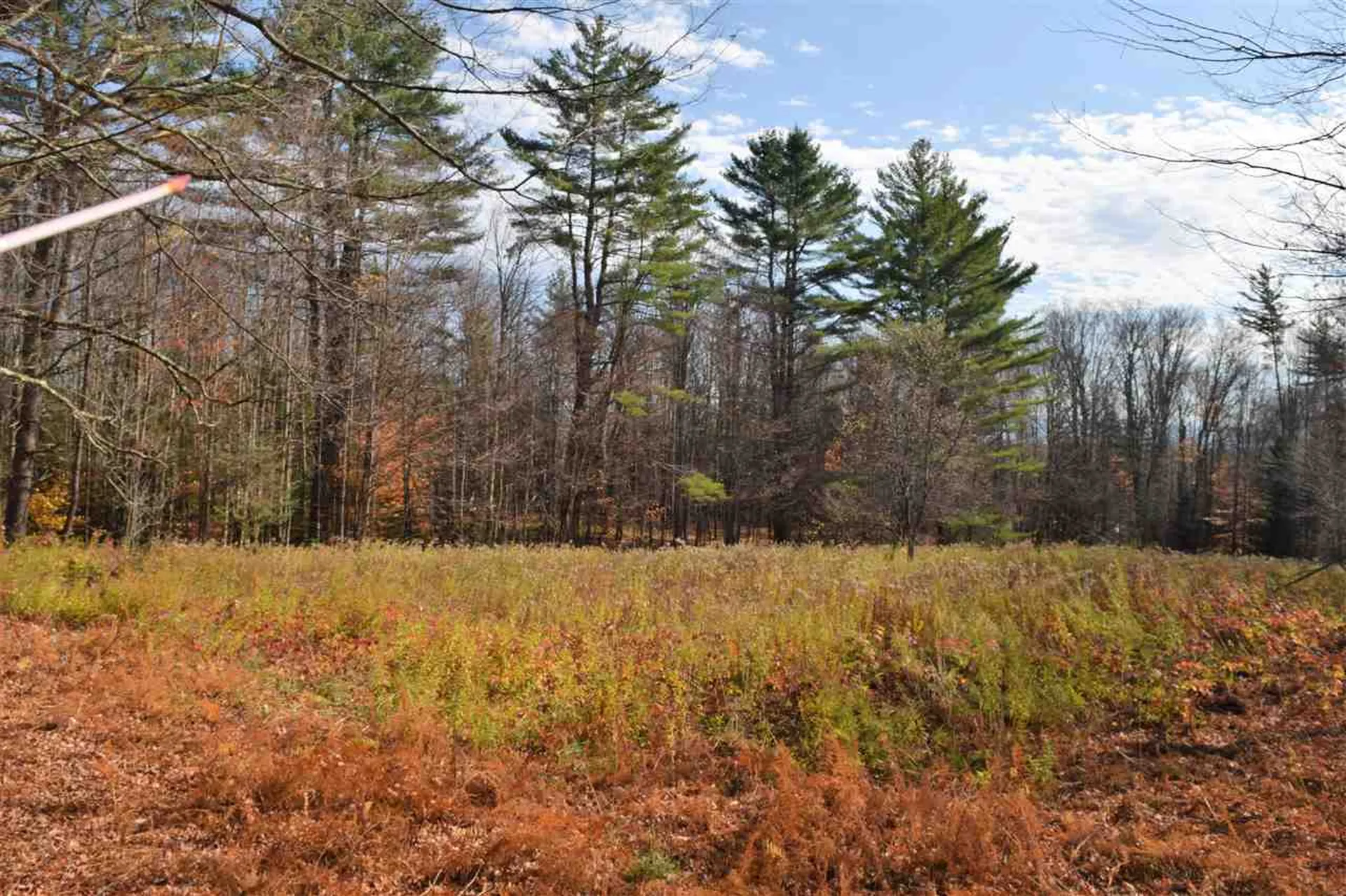 Lot 18 Tobyne Road Lunenburg VT 05906