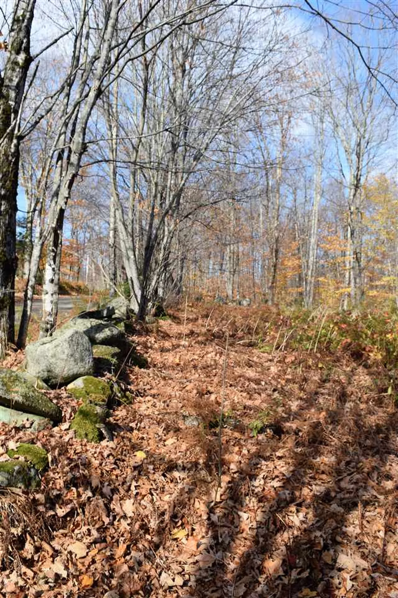 Lot 18 Tobyne Road Lunenburg VT 05906