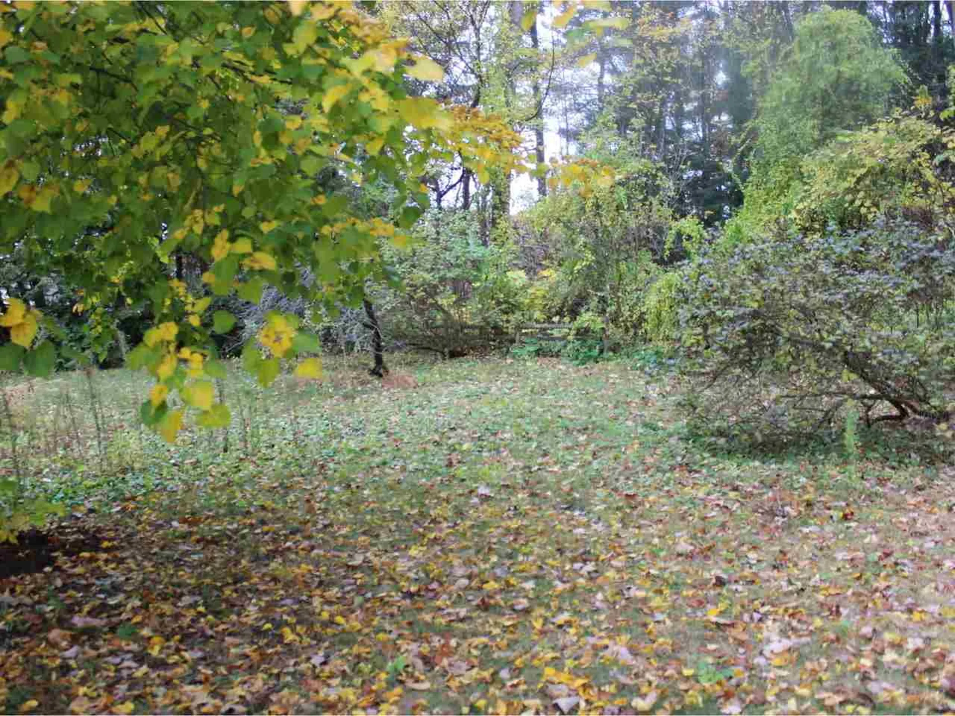 5 Tanglewood Drive South Burlington VT 05403