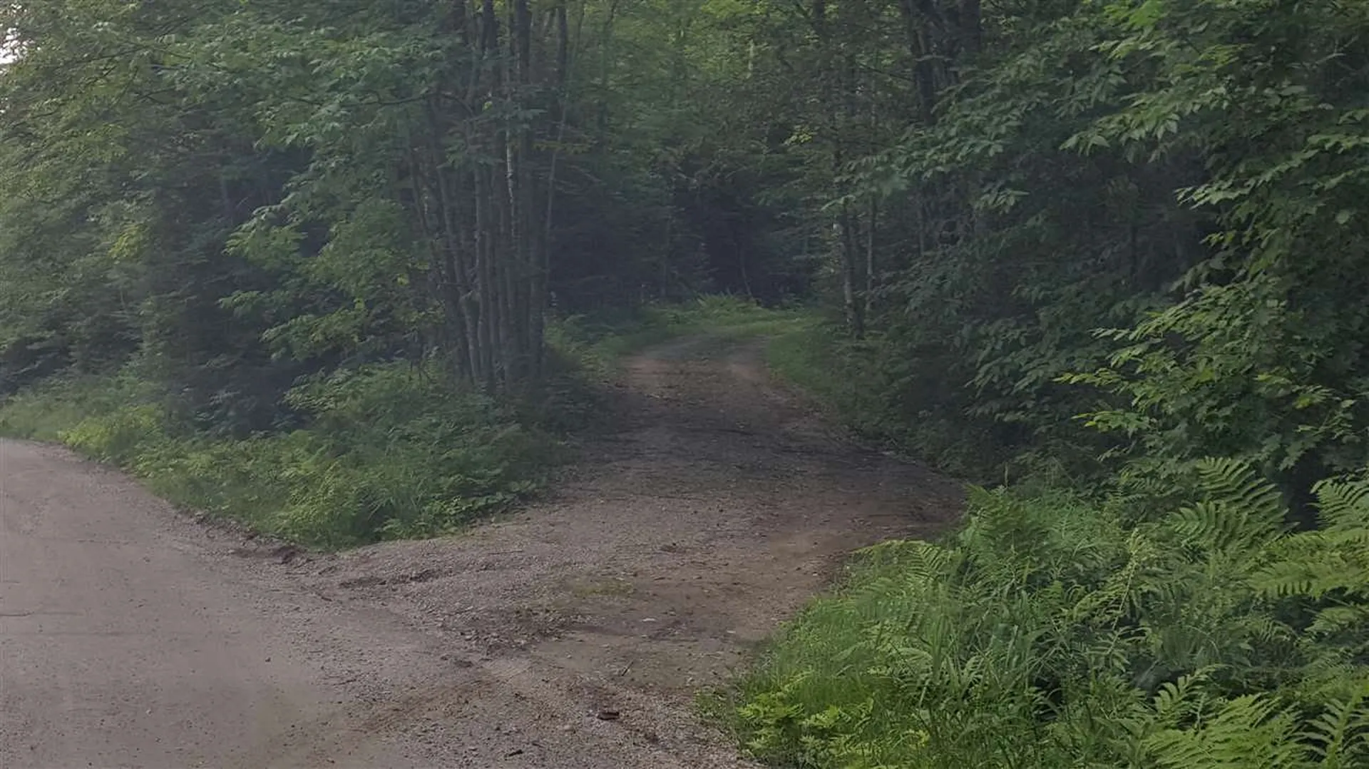 Goshen Road Ripton VT 05766