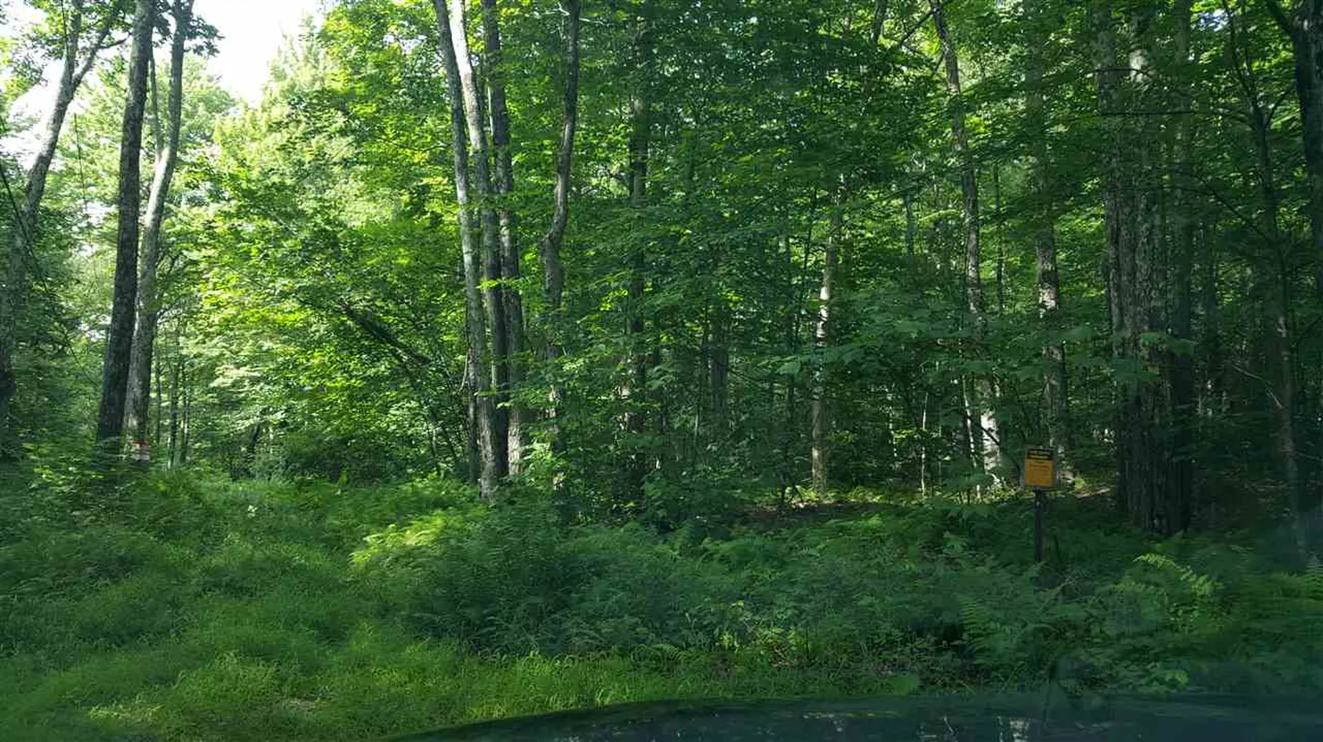 Goshen Road Ripton VT 05766