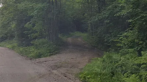 Goshen Road Ripton VT 05766