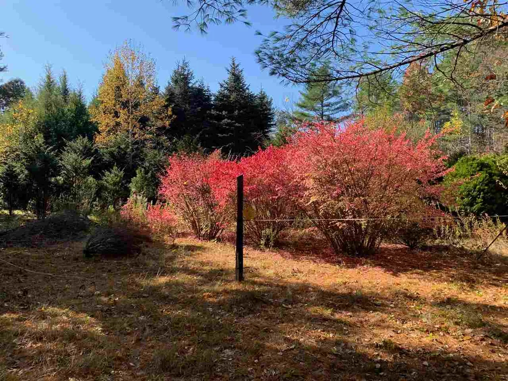 141 Joppa Road Merrimack NH 03054