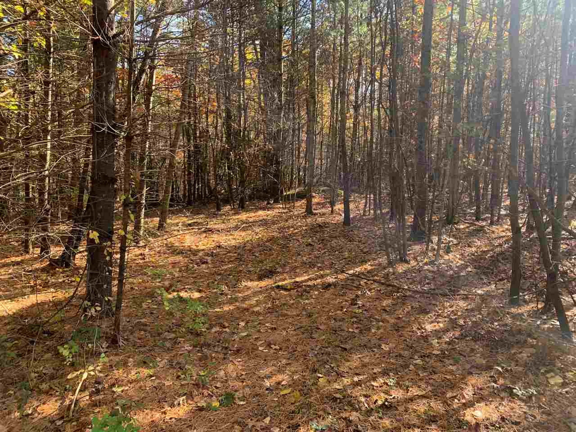 141 Joppa Road Merrimack NH 03054